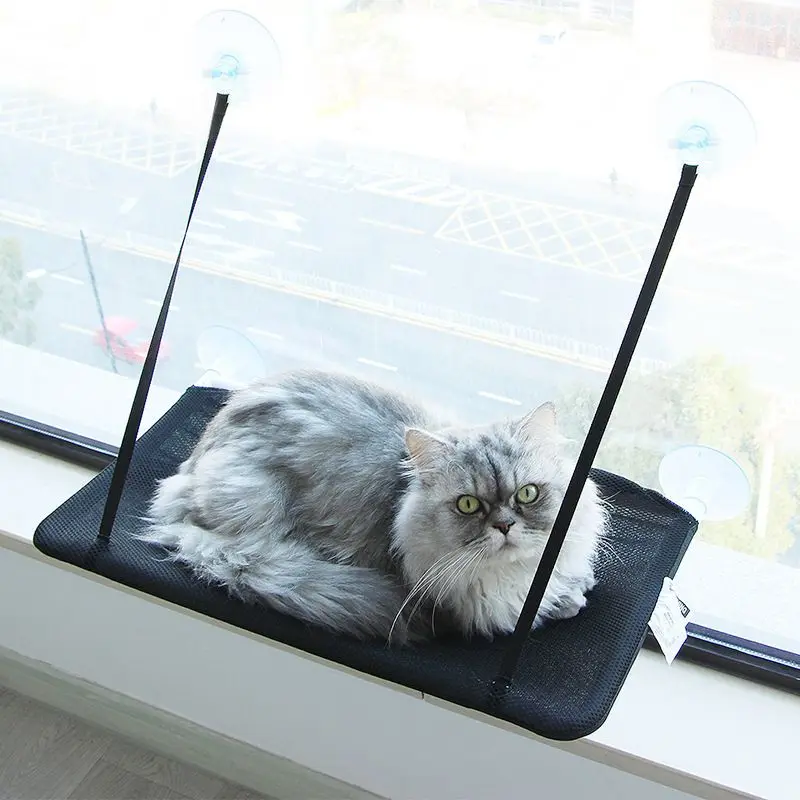 Кота присоска Кошка Кровать Диван Basking под прямыми солнечными лучами кота