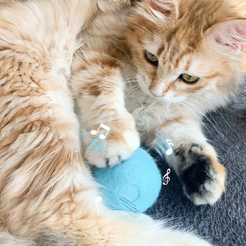 

Pet Interactive Toy Interesting Healthy Cat Puppy Play Ball Toy Pet Squeaky Supply New Funny Cat Toy Called Ball Educational Toy