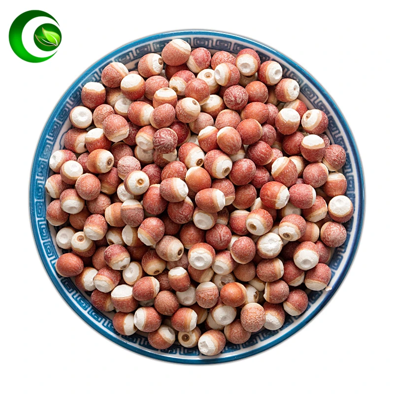 

Natural Semen Euryaled,Euryale Ferox,Qian Shi,Gorgon Fruit,Gorg,Thorny Minoru,Minoru Thorns,Ji Tou Mi Gorgon Euryale Powder