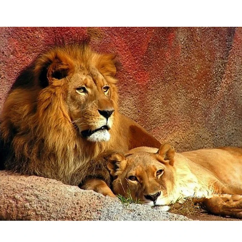 

Квадратная Алмазная вышивка Лев, картины для стразы, алмазная живопись, вышивка крестом 5d, Алмазная мозаика Lk1