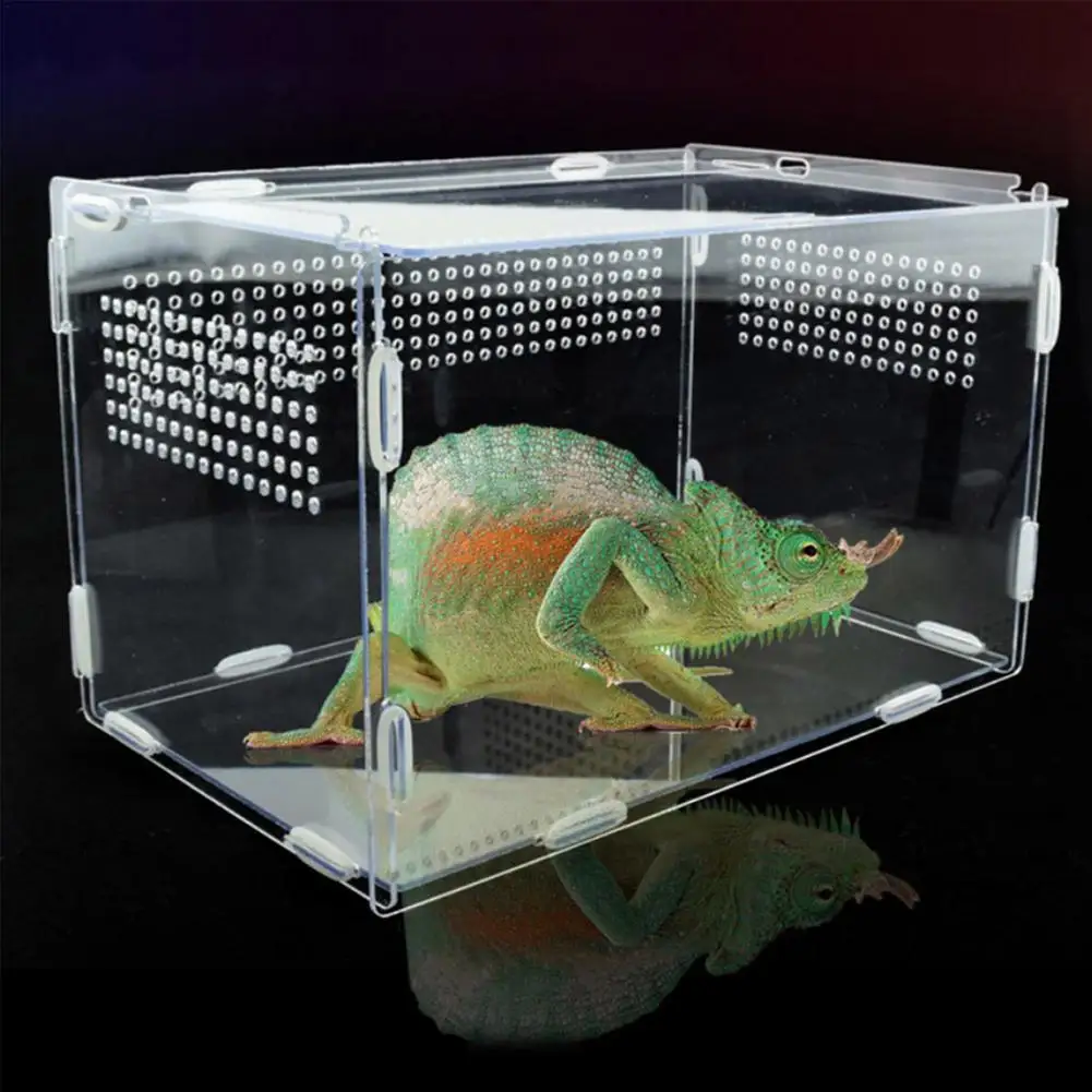 

Reptile Breeding Box Acrylic Feeding Box For Spider Lizard Frog Cricket Turtle Transparent Appreciate Terrarium For Scorpions