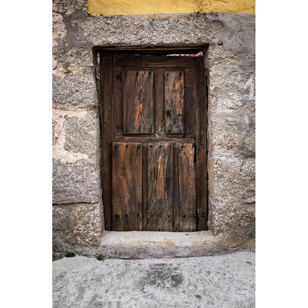 Кирпичная стена деревянная дверь фон для фотосъемки виниловые тканевые фоны