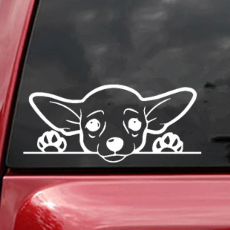 Милые аксессуары для внешней отделки чихуахуа виниловые наклейки грузовиков