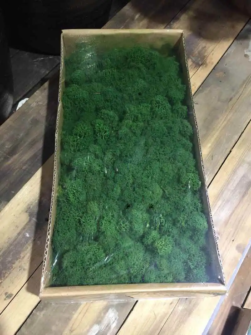 dark green Зеленый Натуральный консервированный МХ длительное сохранение норвежский олень мох цветок настоящее растение для дома и сада Свадебные DIY украшения - Цвет: dark green