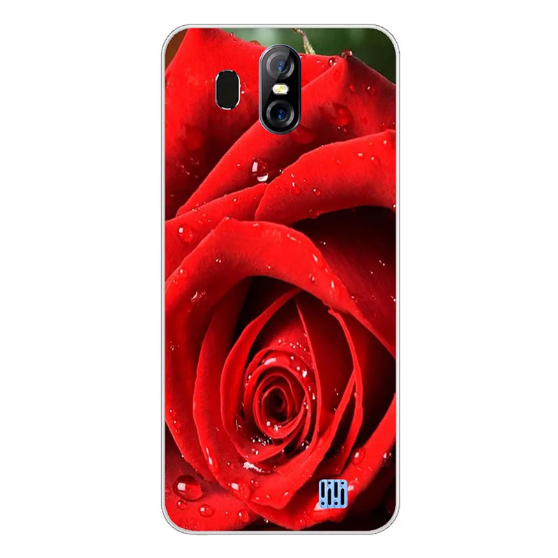 ZX01 Чехол для Silicone S16 чехол силиконовый окрашенный чехол для HOMTOM S16 Чехлы для кошек Сова ack Чехлы для Fundas S16 Fundas Capa корпус сумки - Цвет: ZX01