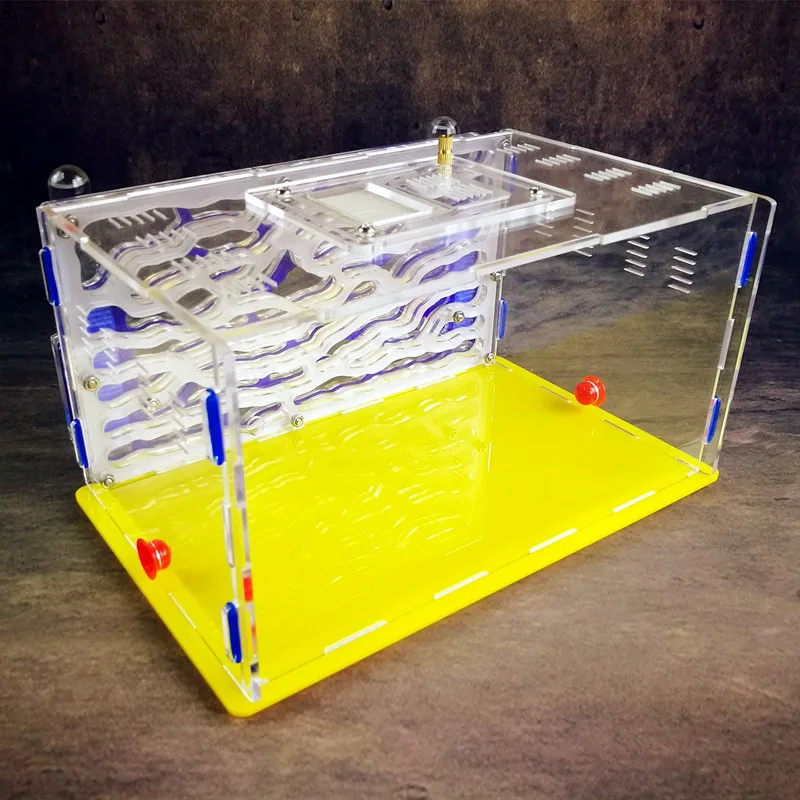 Blue Acrylic Nest Ant Workshop DIY Ants Farm House Insect Supplies Box Reptile Terrarium | Дом и сад