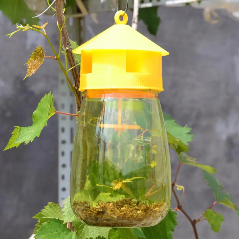 

Wasp Trap Fruit Fly Flies Insect Bug Hanging Honey-Trap Catcher Killer No-Poison Hanging Tree Killing Bee Trapper Wasp Trap