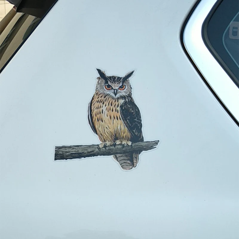 

Colorful Auto Sticker Owl Standing on A Branch PVC Window Decoration Cover scratches Waterproof KK16*15cm