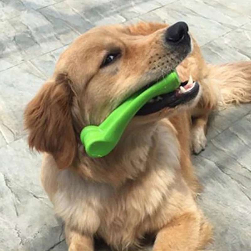 Игрушки для собак зубы молярные жевательные игрушки огромная жевательная