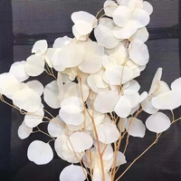 50greal dried natural fresh forever eucalyptus branchespreserved round leaves flowersapple eucalyptus for home decorwedding