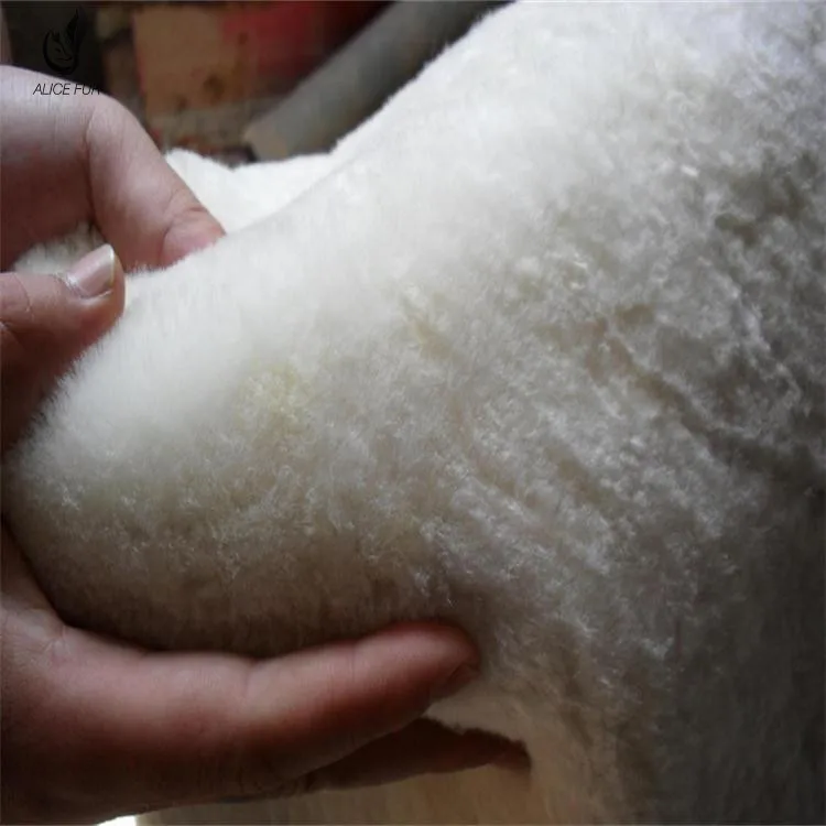 Оптовая продажа с завода Австралийская овчина натуральная мех для одежды