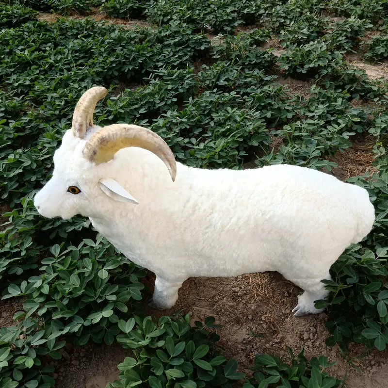 

big new simulation sheep model polyethylene&furs real life sheep model doll gift about 90x75cm xf2864