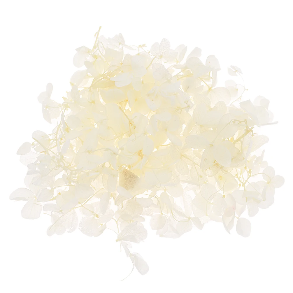 Белый цвет сушеный цветок лепесток 5 г Сушеный Цветок для свадебной вечеринки
