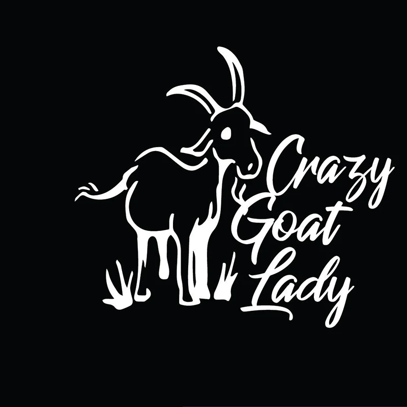 13*9 см Коза леди козы Дети наклейка безумно забавное окно бампер Новинка дрейф JDM