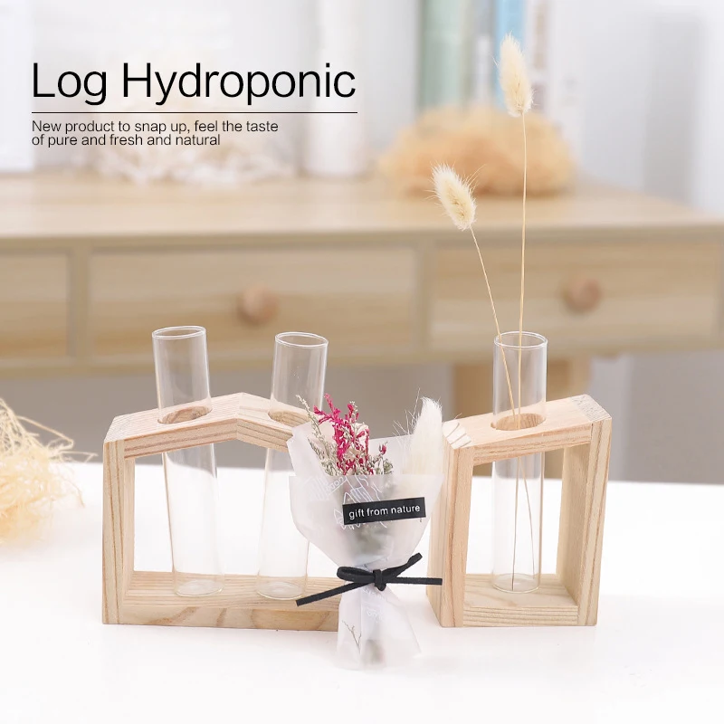 Декоративные гидропоники растения с украшением в виде кристаллов Стекло Тесты