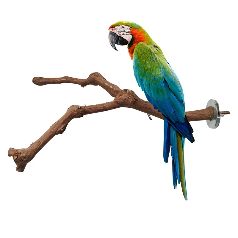

Pet Parrot Bird Standing Stick Wild Grape Wood Pole Bird Cockatiel Parakeet Perches Bite Claw Grinding Toy Bird Cage Accessories