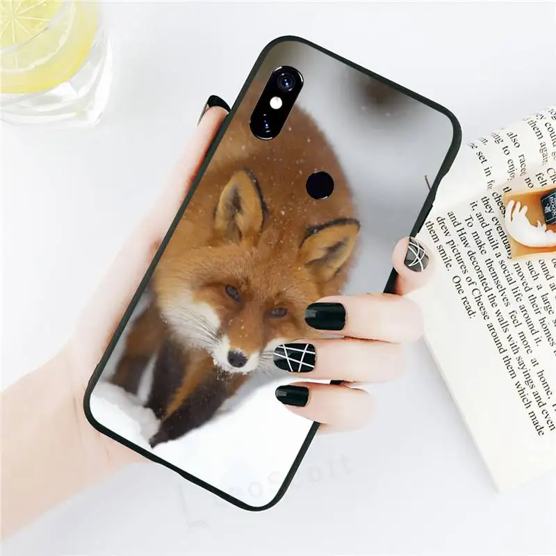 

Animal Raccoon Fox Phone Cases For Xiaomi Redmi note 7 8 9 t k30 max3 9 s 10 pro lite