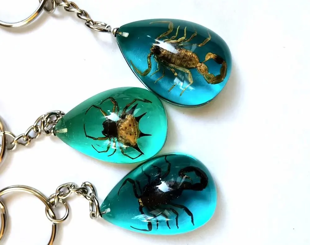 

12 pcs charming real spider scorpion blue back drop style keychain Specimen