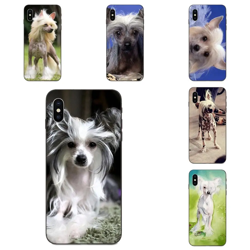 Чехол для телефона с изображением собаки породы в китайском стиле цветным