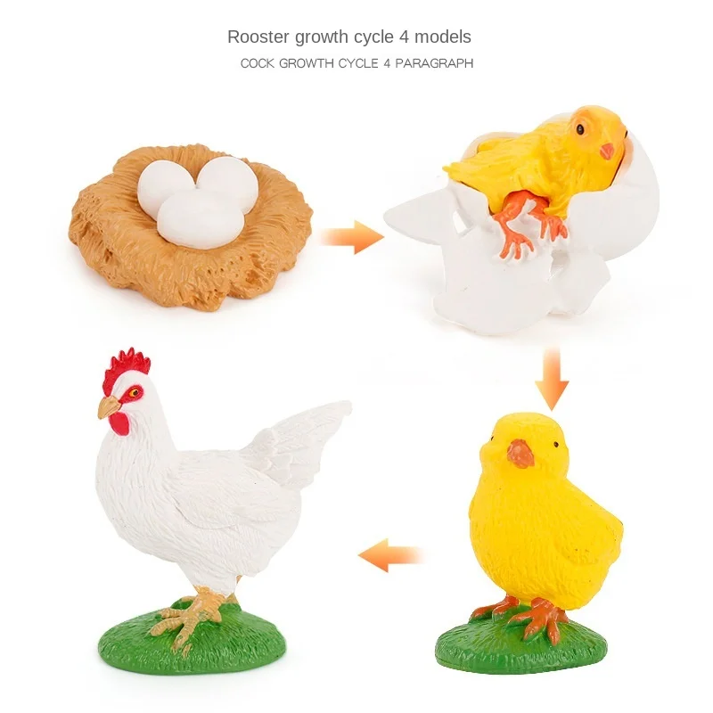 

Simulation Life Cycle of a Green Bean Plant Growth Cycle Model Action Figures Collection Science Educational Toys for Children