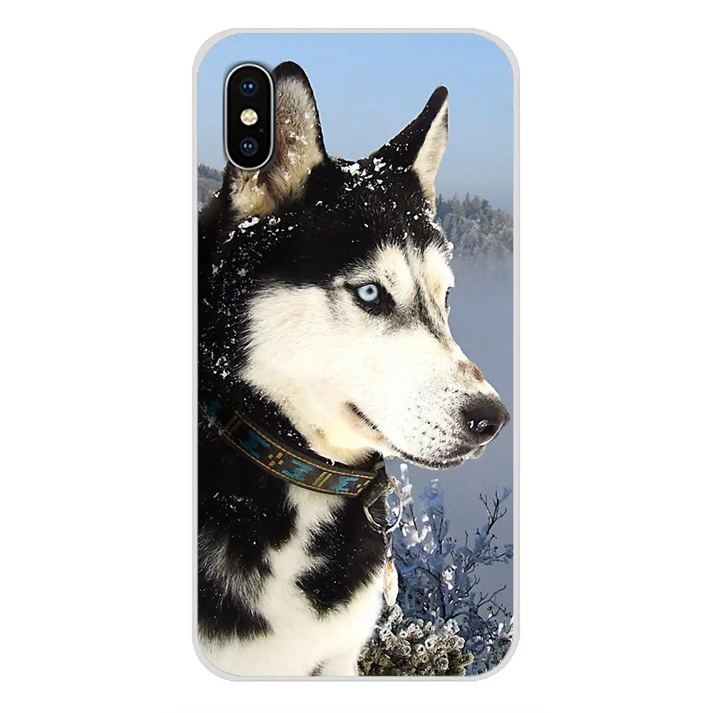 Аксессуары чехлы для телефонов Чехлы с животными Хаски щенок Samsung Galaxy J1 J2 J3 J4 J5 J6 J7