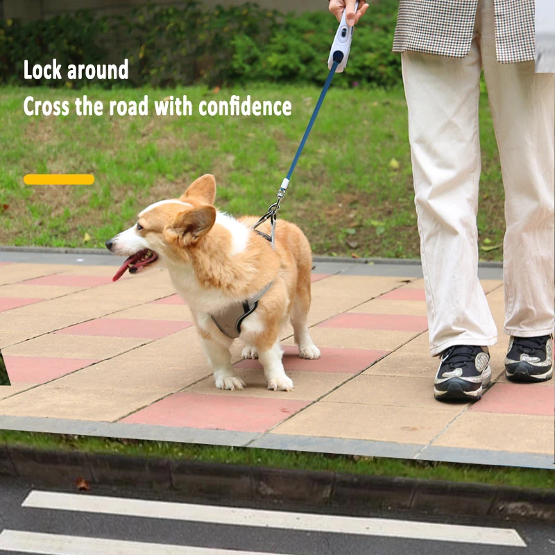 Автоматический телескопический поводок для домашних питомцев рулетка прогулок