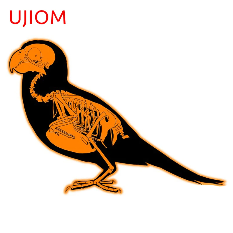 UJIOM Хэллоуин Skleton Conure наклейка в виде птицы Современный домашний декор настенные наклейки Декор для комнаты домашний Декор ПВХ наклейка