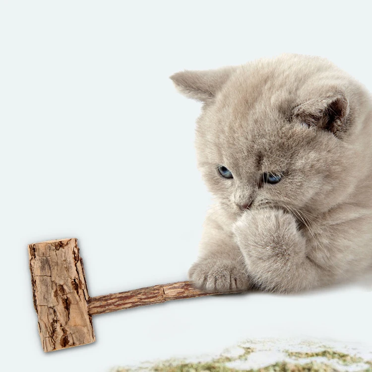 Кошачий зуб очиститель Чистый натуральный кошачий мята дерево сухожилия труба