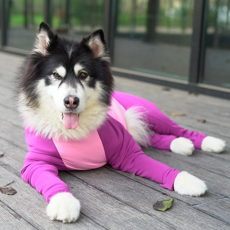 Перевязочные материалы для домашних животных Одежда высокая эластичность