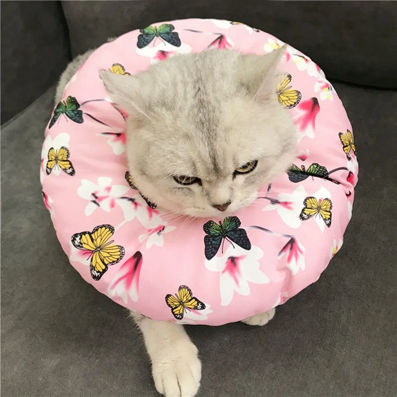 Pet E Collar Recovery Cone Регулируемая хлопковая смесь ошейник для восстановления шеи