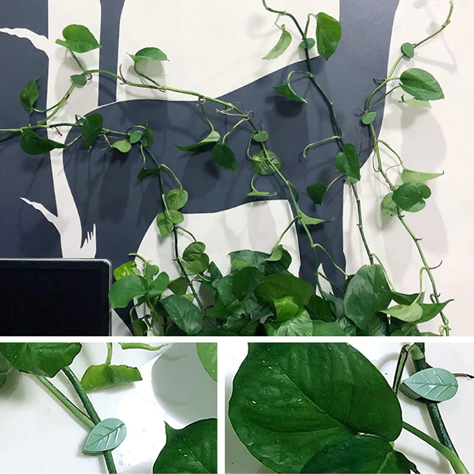 

10pcs Creative Plant Plant Clips Climbing Wall Fixture Clips Leaves Wall Vine Flower Vegetables Plant Holder Garden Accessories