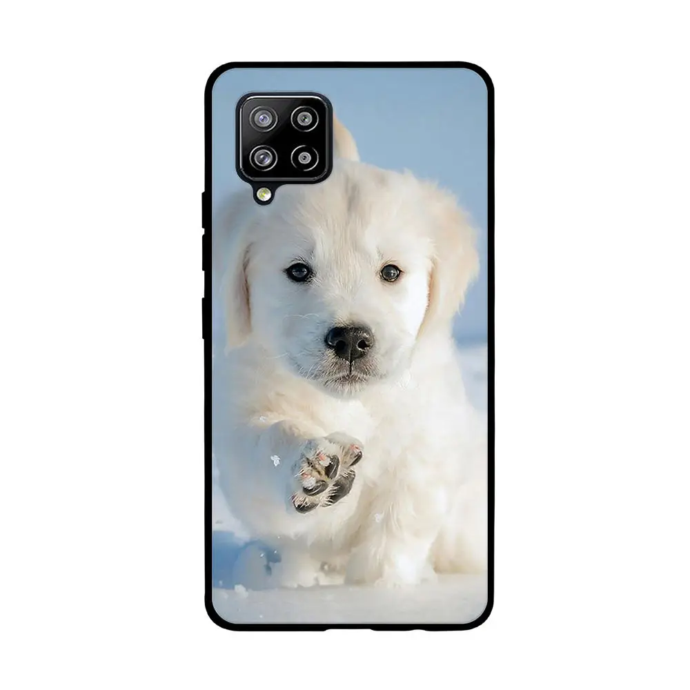 

For Samsung Galaxy A42 S20 FE Lite 5G M31s M51 Case Soft TPU Shell For Samsung A42 A 42 S20 FE Lite S20FE 5G M31s M51 M 51 Cover