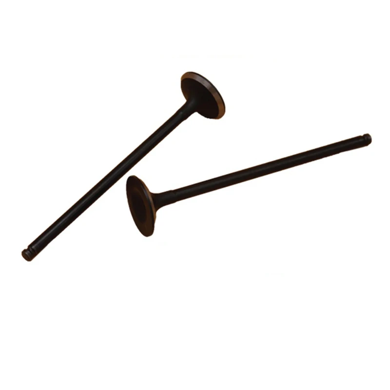 

Engine Intake Valve Set for BYD F0 F3 G3 L3 F6 S6 M6 G6 G5 S7 Car Assecoires