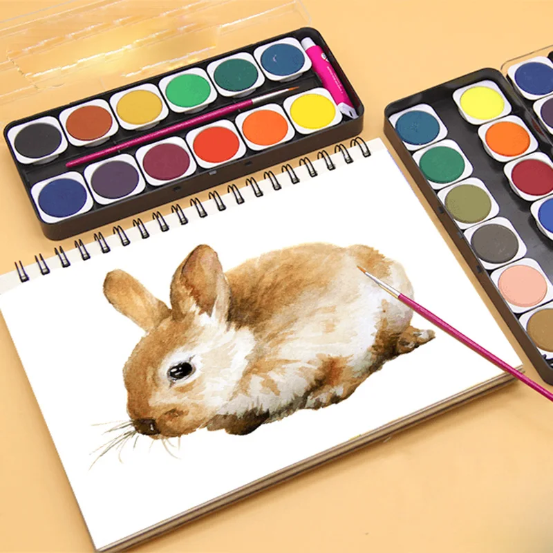 Профессиональный набор для рисования высокое качество твердый пигмент Набор