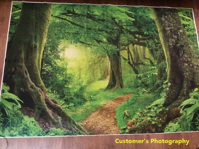 Laeacco Джунгли Лес фоны дерево мох зеленая трава пещера тайна ребенок сценический