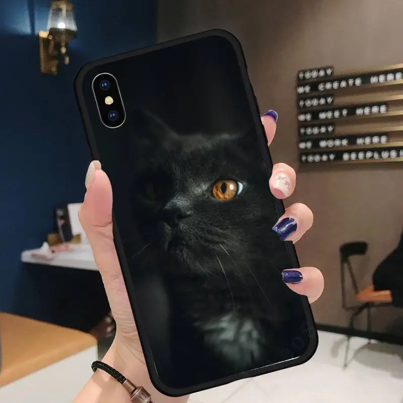 

Staring Eye On Black Cat animal Phone Case for iPhone 11 12 mini pro XS MAX 8 7 6 6S Plus X 5S SE 2020 XR