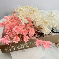 dry eternelle star anise flower bouquet dried natural flowers wedding supplies marriage home room decoration floral arrangement