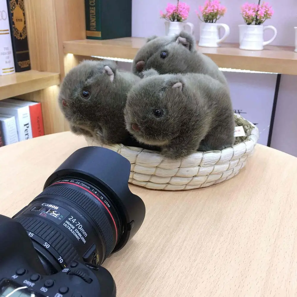 Игрушка плюшевая Женская морская свинка 18 см набивное дикое животное