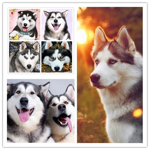 Вышивка крестом мозаика Собака Хаски щенок полная квадратная/круглая Алмазная