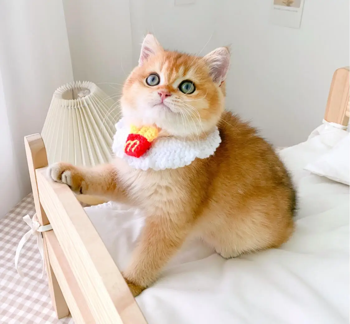 

Collar for Cats Cute Dog Necklace Sweet Cat Accessories
