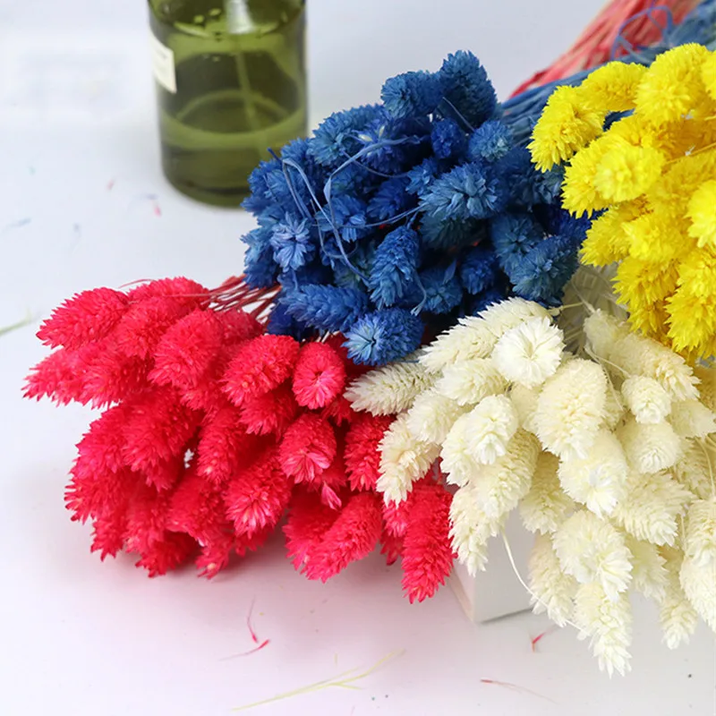 

20PCS Natural Eternal Plant Gemstone Grass Home Living Room Display Decoration DIY Flower Arrangement Shooting Props