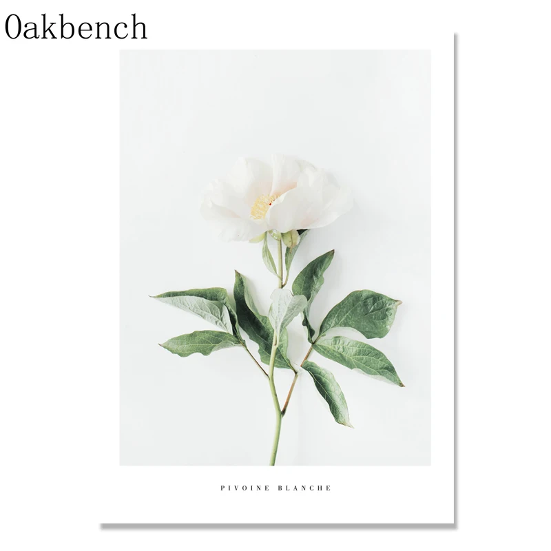 Настенная картина с изображением белых цветов медных травы | Дом и сад