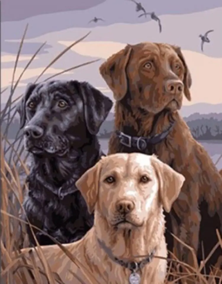 Вышивка крестиком алмазная вышивка картина 3 Лабрадора собака узоры Полная