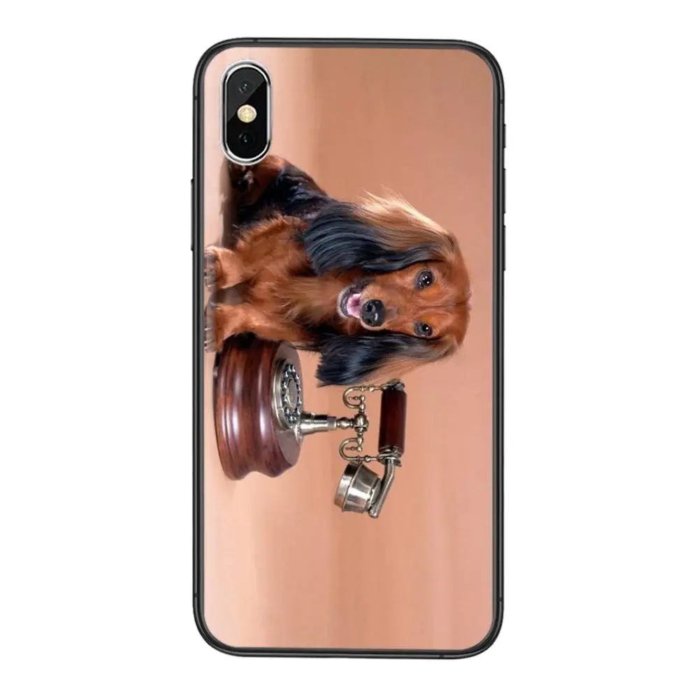 Забавные Собака Такса дешевые мужские для Galaxy Note 20 10 9 8 Ultra Samsung M51 M31 A7 A8 J6 J8 2018 A10S A11