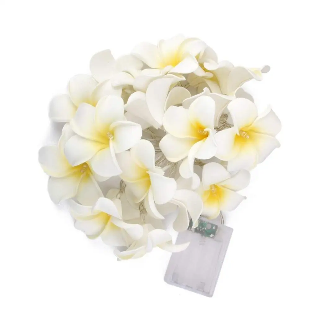 

Frangipani