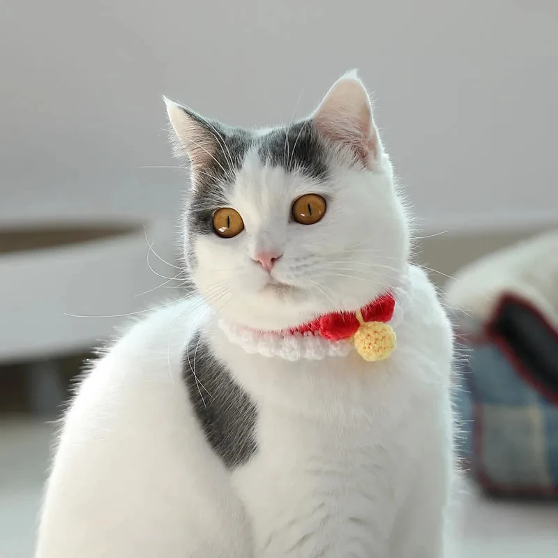 

Handmade Cat Collar Crocheted Pet Decoration Collar Cute Selling Cute Photo Dog Teddy Bell Warm Collar