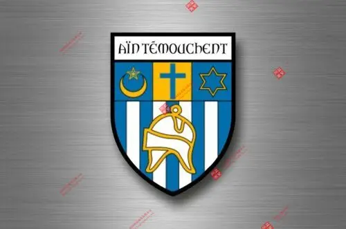 Лидер продаж индивидуальная наклейка сувенирный автомобиль герб щит Городское