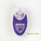 100 шт. смешанные капсулы ментола с фруктовым вкусом Мятные бусины взрывозащищенные фильтры для сигарет шарик-кисть для курения аксессуары для держателя