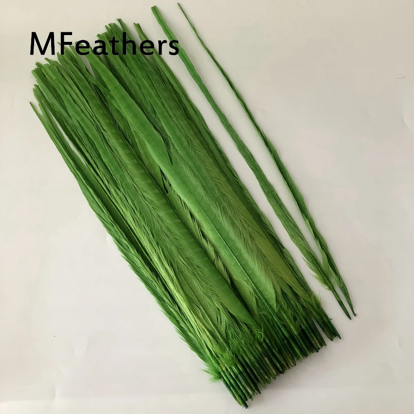 apple green 100 шт Черный Цвет ringneck перо из хвоста фазана обесцвеченные и окрашенные перья фазана карнавал Showgirl Backpieces - Цвет: apple green