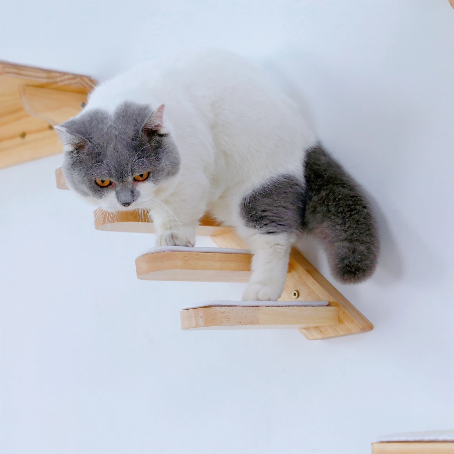 Игрушка для ползания из массива дерева Hoopet домашних животных настенное